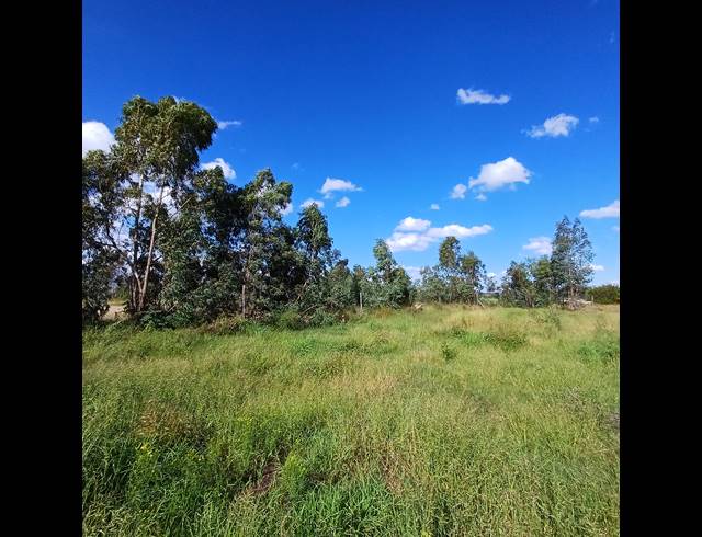 1,122M² VACANT LAND FOR SALE IN KOOKRUS
